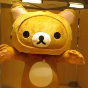 lalaの画像