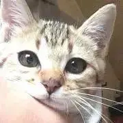のん❣️プロフィール必読❣️の画像