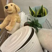 わるめのねこさん