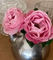 かずの画像
