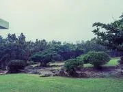 ポチ(プロフ必読)の画像