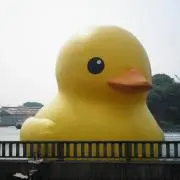 あき