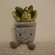 Mikoの画像