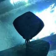 白馬の画像