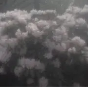 n nの画像