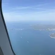 Y