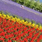 暇人倉庫整理マンの画像