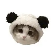 じゆんの画像