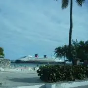 みそ。