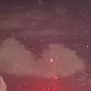 杏仁豆腐⚠️土日発送不可の画像