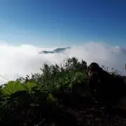 アンリ♪の画像