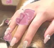 WagahaihaInuの画像