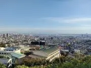 Saltlookの画像
