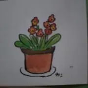 さわこの画像