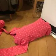 ナピピの画像