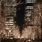 りーの画像
