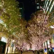 やえの画像