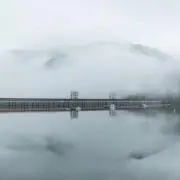 youの画像
