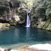 かなやんの画像