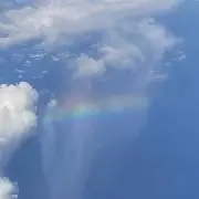 NNn販売の画像