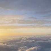 coco＊の画像