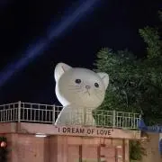 ‪ ·͜·