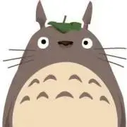 k.mi