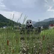 que será, seráの画像