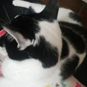 Tuesdayの画像
