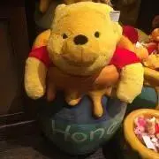 【断捨離中】ChicO※プロフィール必読