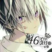 46猫