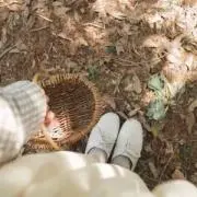 しろいの画像