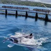 すたんこの画像