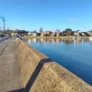 サビィの画像