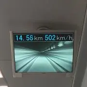 まこ