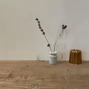 yacの画像
