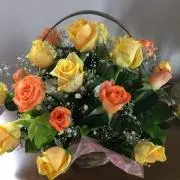 パトパルの画像