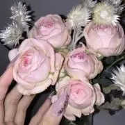 ♫