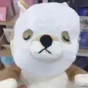 こもりんの画像