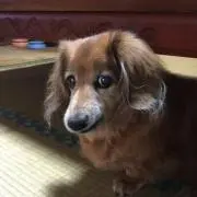 さちこ