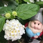 Reiの画像