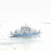 Syoh