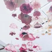ぱみゅの画像