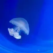 雨野の画像