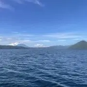 りくの画像