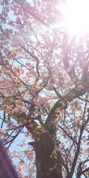 ここの画像