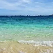 あーるくん★の画像