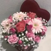 mimi18433