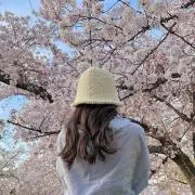 Kの画像