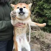 ぬぬの画像